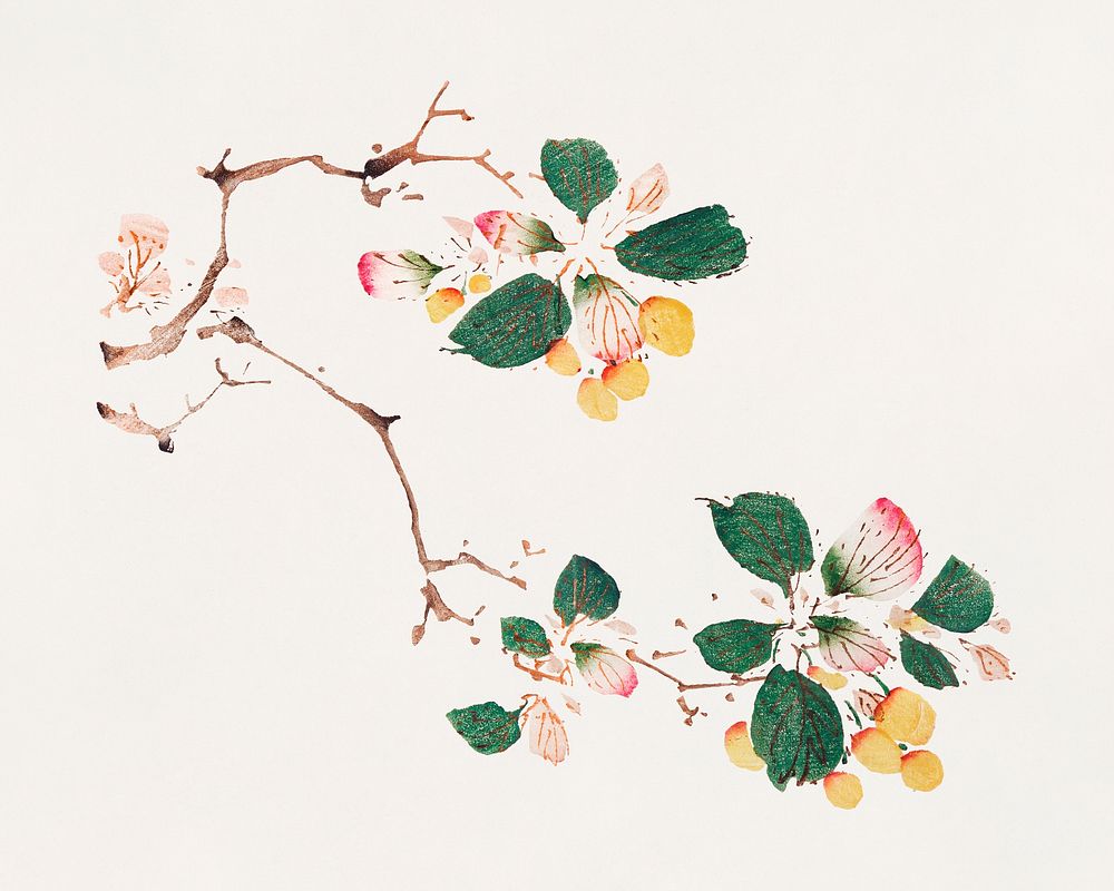 Fruit psd botanical art print, remixed from artworks by Hu Zhengyan