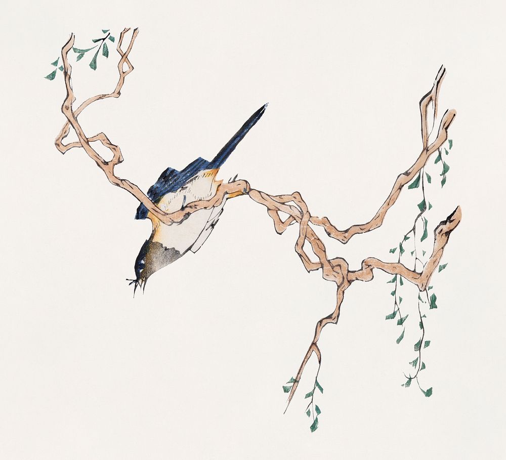Bird psd perching on a tree illustration, remixed from artworks by Hu Zhengyan