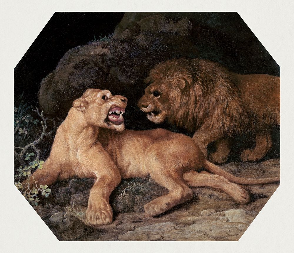 Lion and Lioness (1770) painting in high resolution by George Stubbs. Original from The Yale University Art Gallery.…