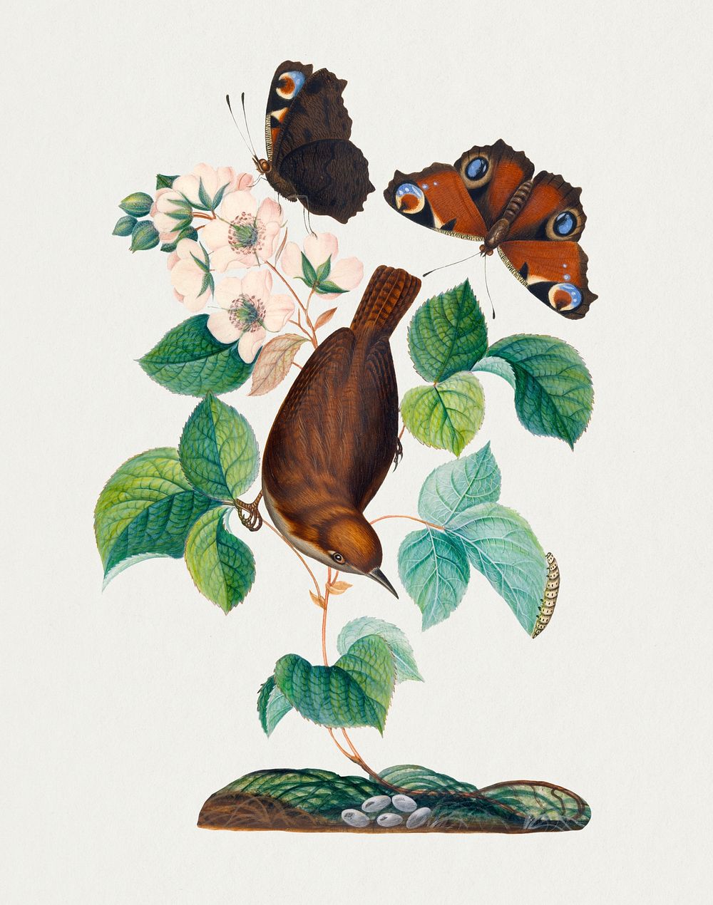 Bird, butterfly, botanical flower sticker psd, remixed from artworks by James Bolton