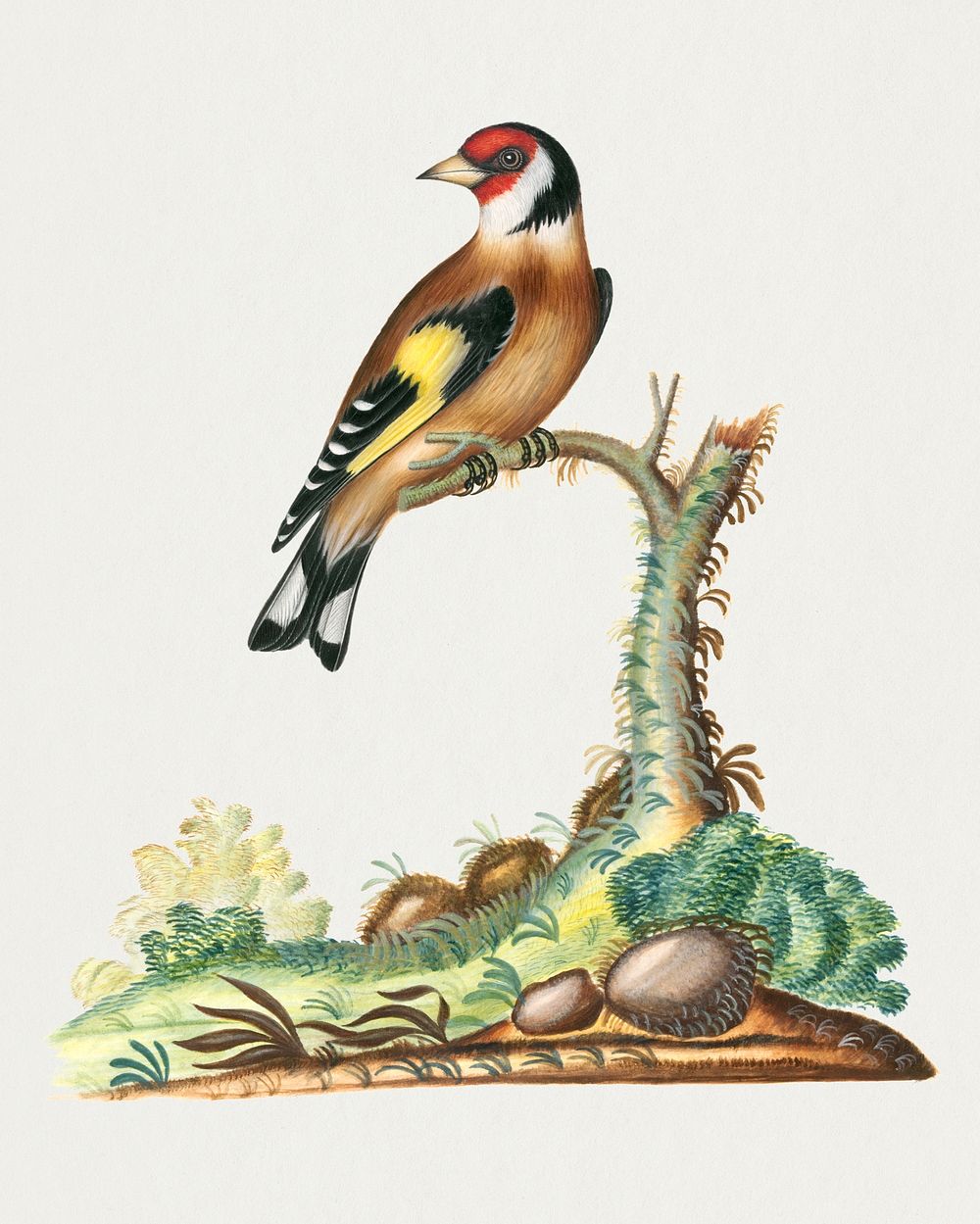 Vintage goldfinch sticker, bird watercolor painting psd, remixed from artworks by James Bolton