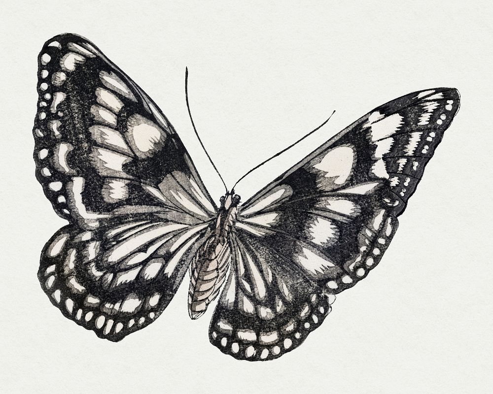 Monarch butterfly , vintage illustration, remix from the artwork of Morimoto Toko