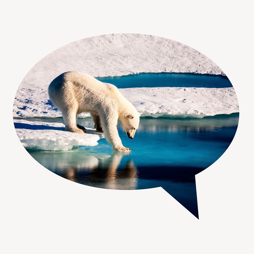 Polar bear walking on ice speech bubble sticker, climate chance photo