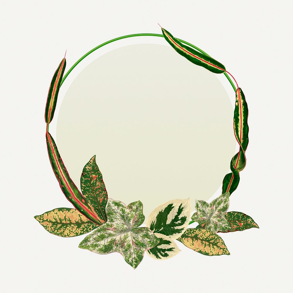 Leaf frame, aesthetic green botanical illustration