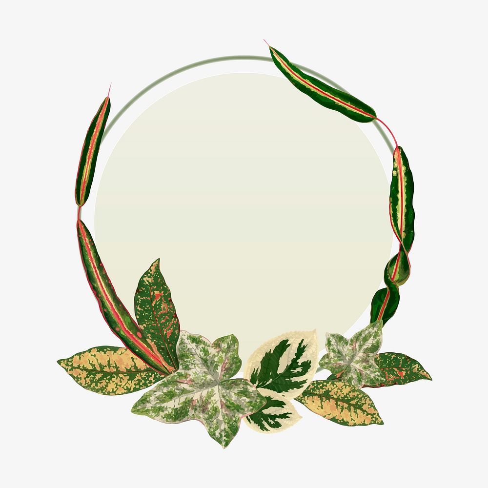 Leaf frame, aesthetic green botanical illustration vector