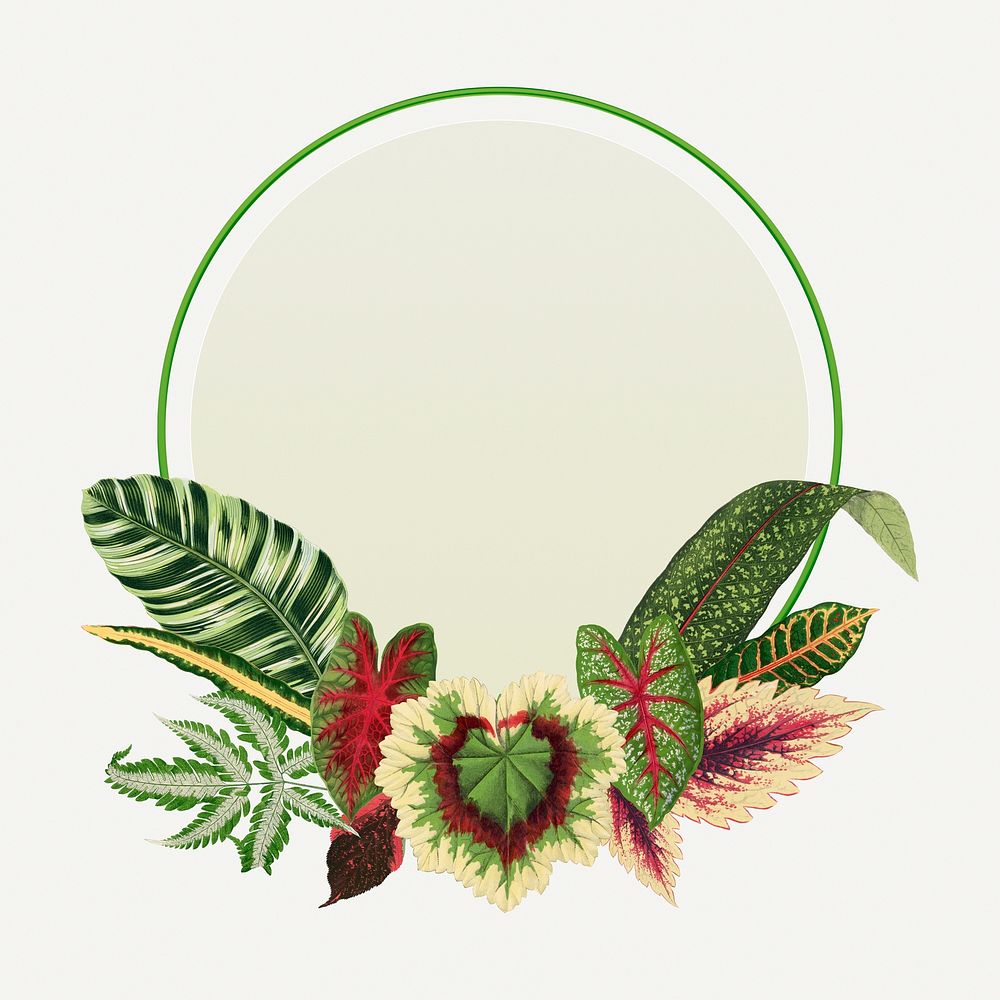 Leaf frame, aesthetic green botanical illustration
