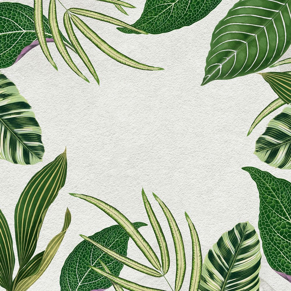 Leaf frame, aesthetic green botanical illustration psd