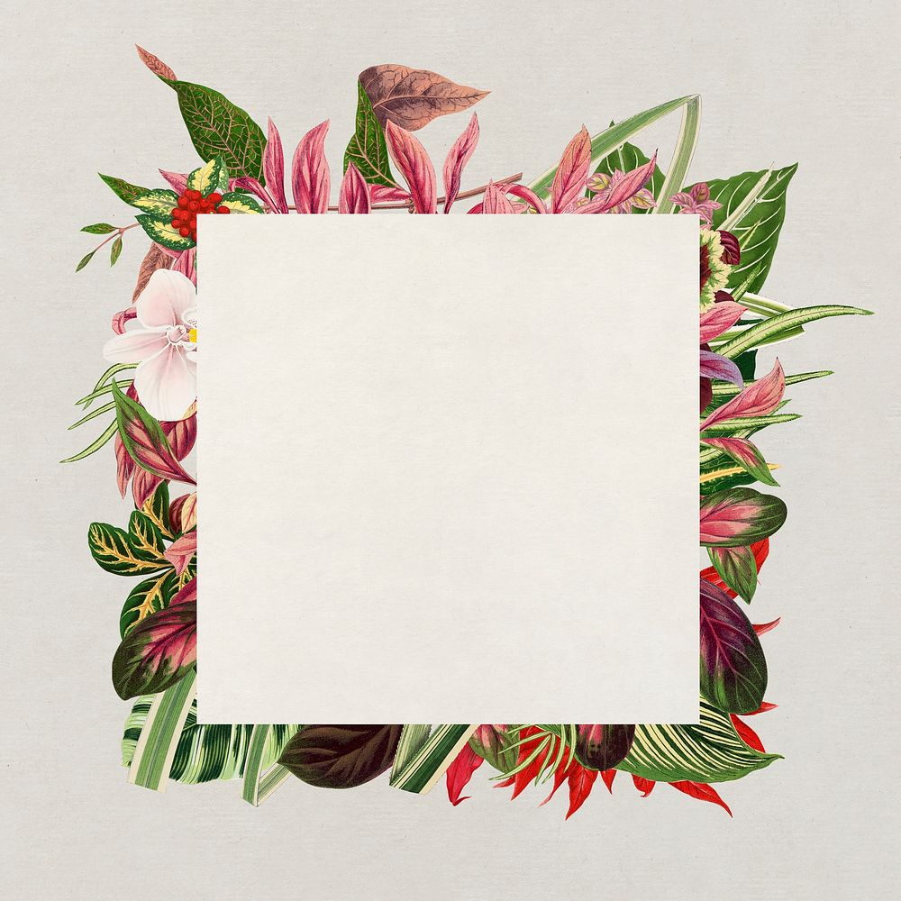 Aesthetic flower frame, floral illustration