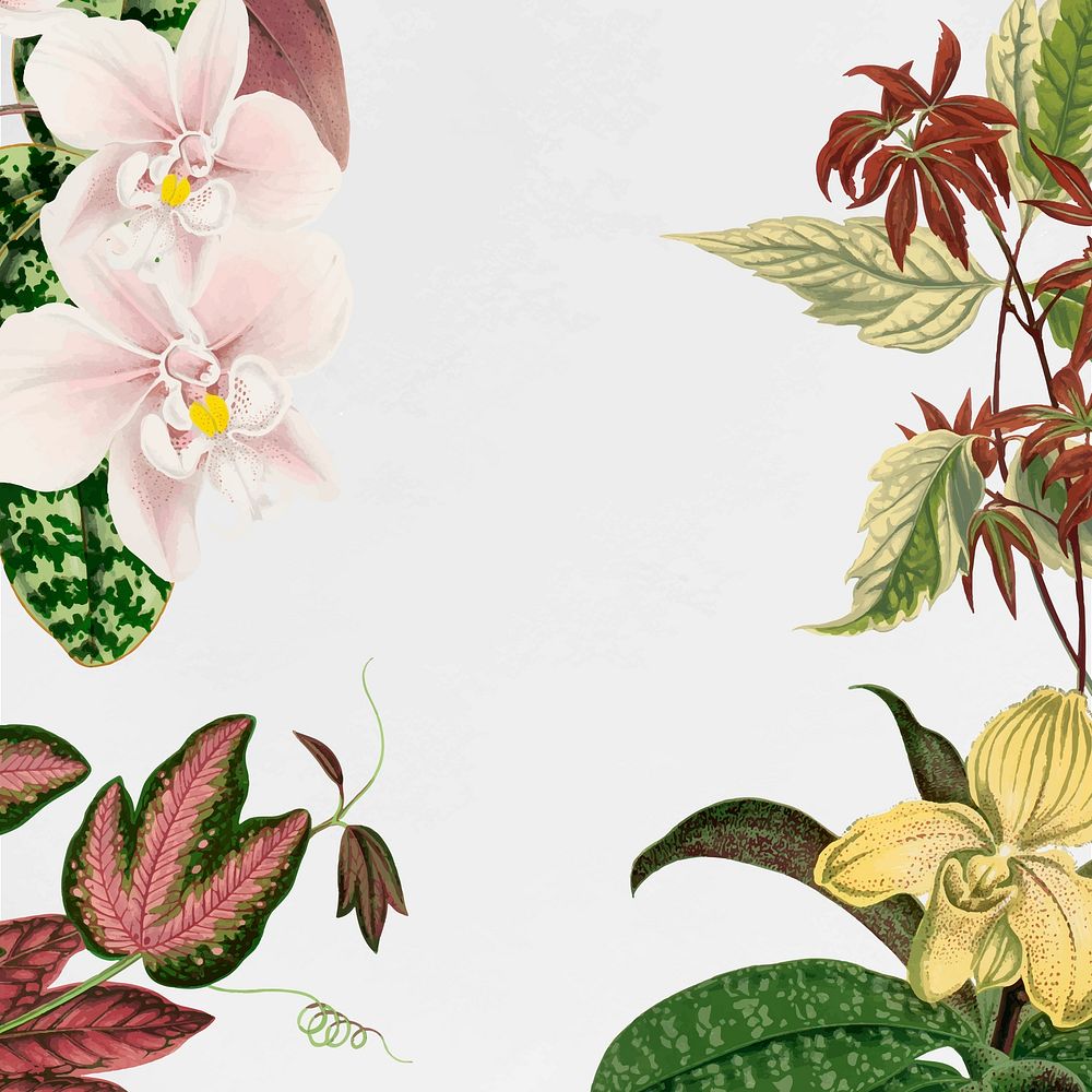 Aesthetic flower frame, floral illustration vector
