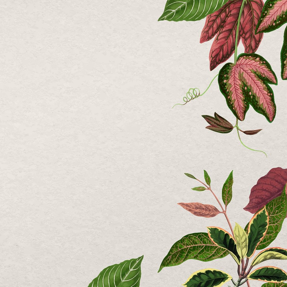 Leaf border frame, aesthetic green botanical illustration vector
