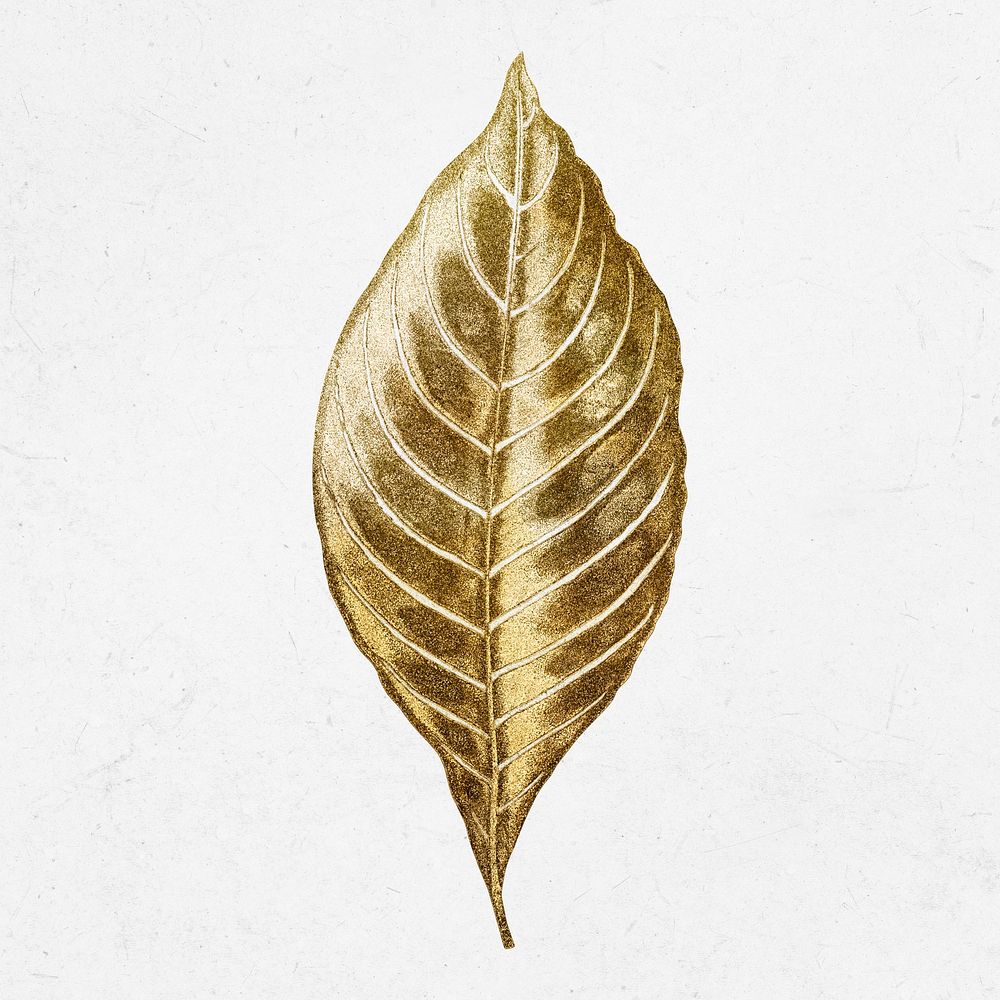 Gold leaf illustration, aesthetic nature graphic psd