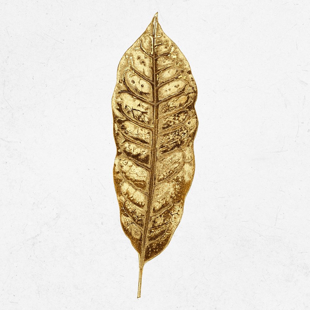 Gold leaf illustration, aesthetic nature graphic