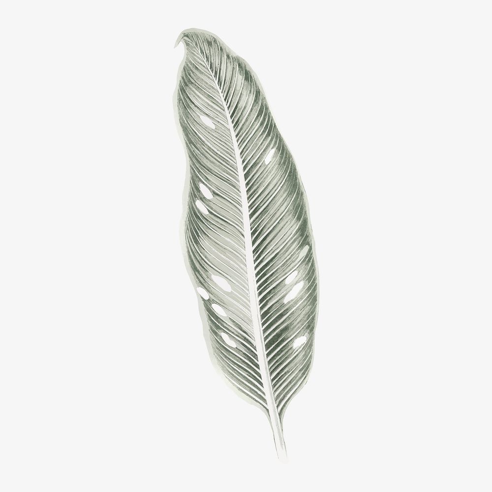 Silver leaf illustration, aesthetic nature graphic vector