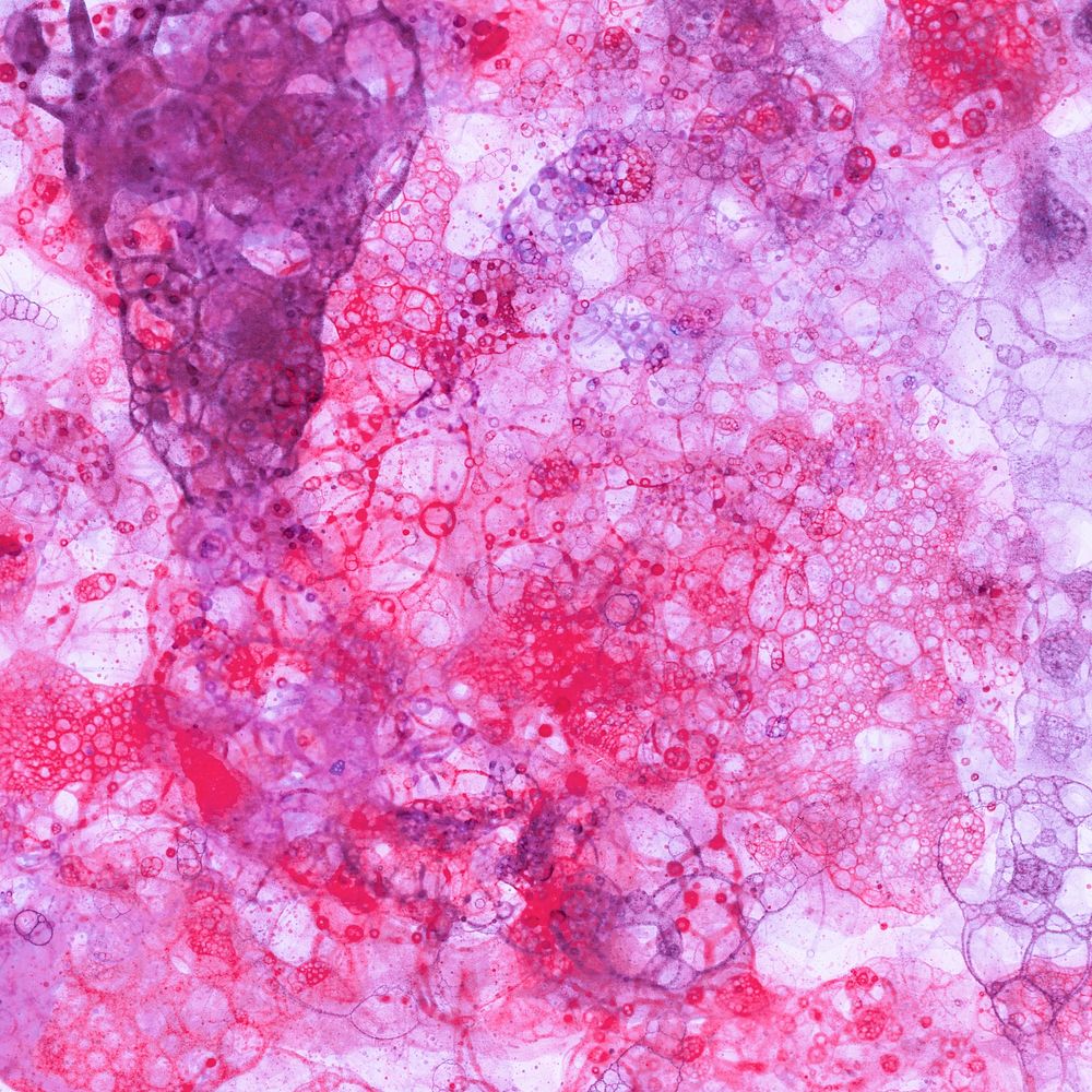 Red and purple bubble art on pink background feminine style