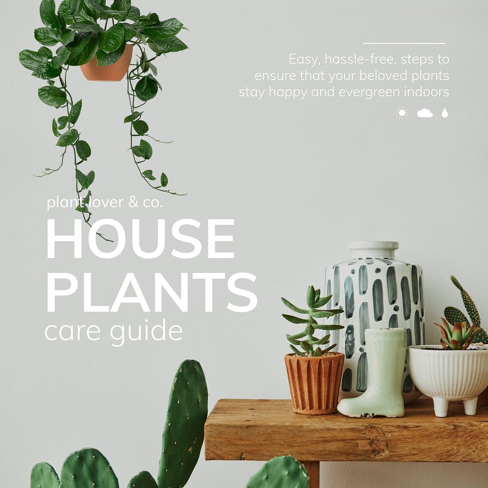 Plant lover template vector care guide