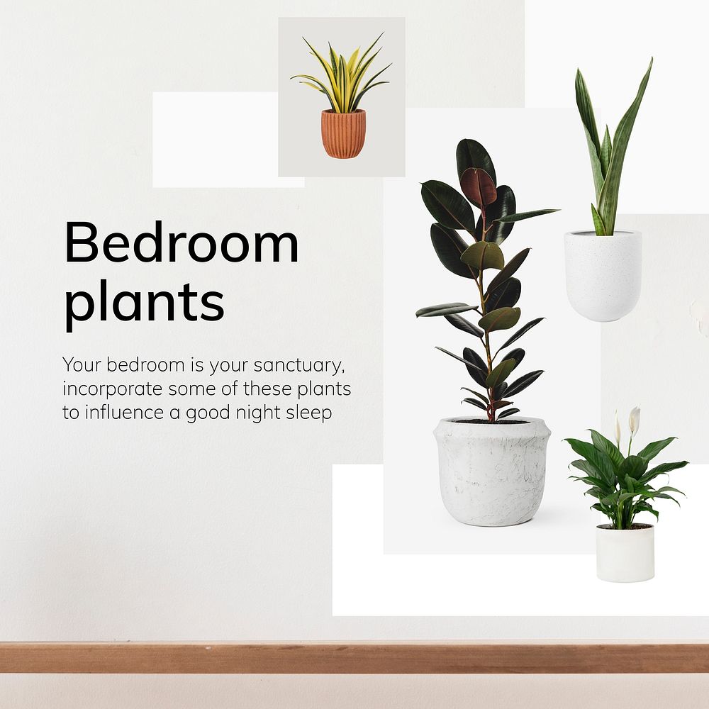Interior decor template vector bedroom plants