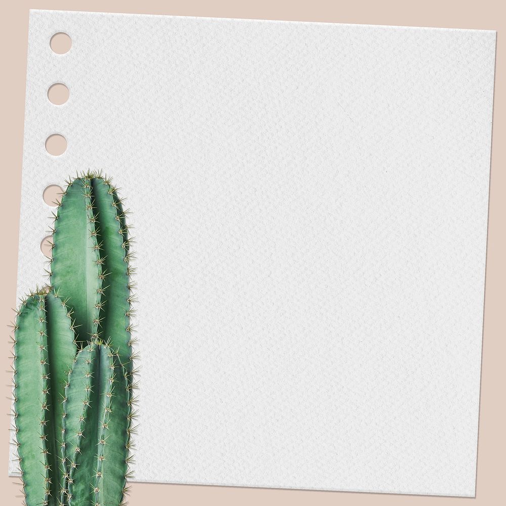 Paper note with cactus plant
