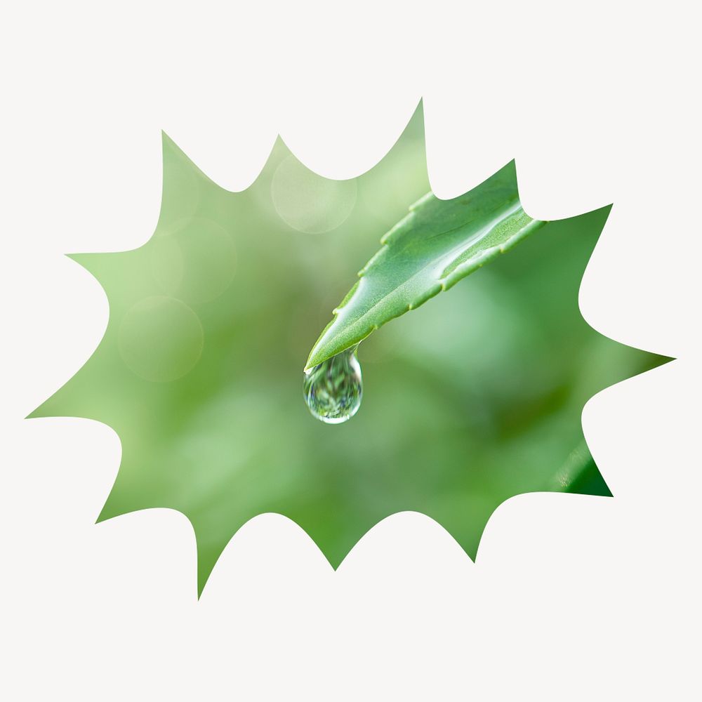 Water drop leaf bang  shape badge, nature photo 