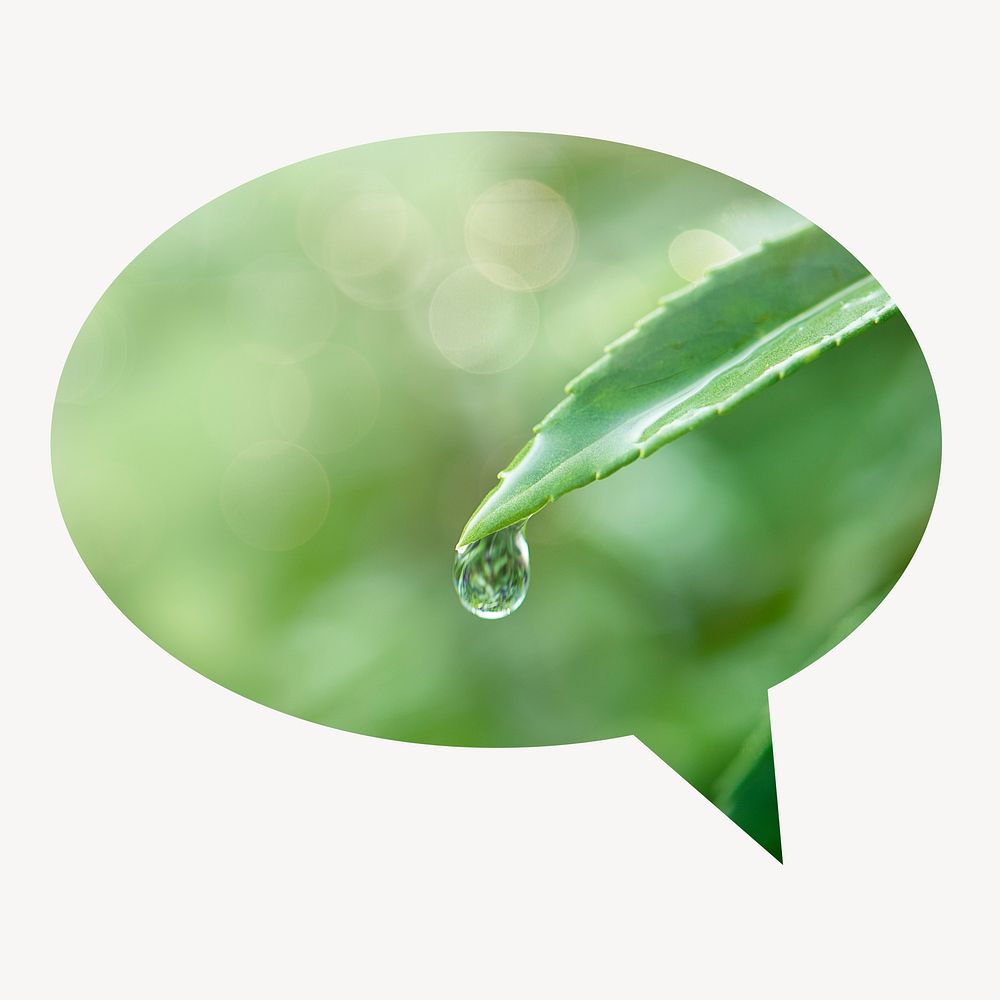 Water drop leaf speech bubble badge, nature photo