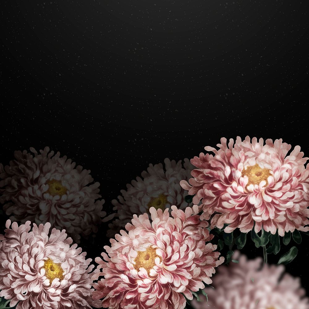 Aster border vector dramatic flower background