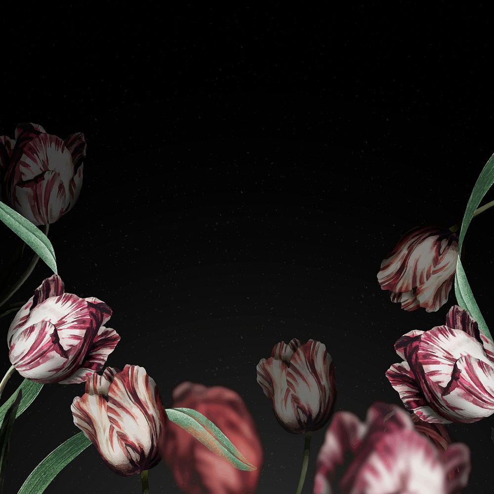 Tulip border vector dramatic flower background