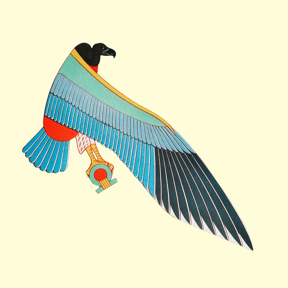 Egyptian Horus falcon psd illustration, remixed from public domain artworks