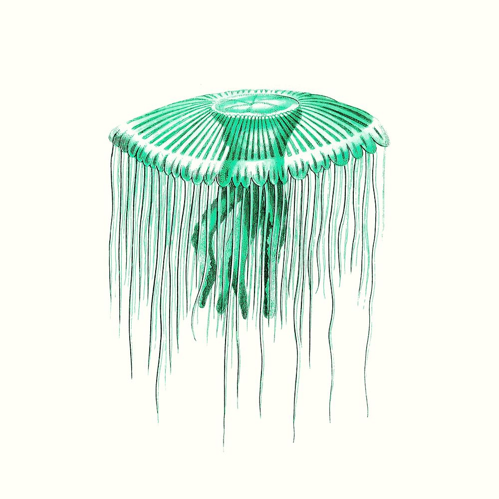 Vintage green jellyfish psd illustration, remixed from public domain artworks