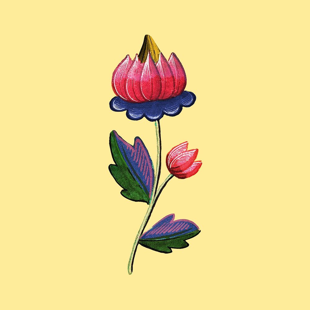 Mexican ethnic flower psd illustration