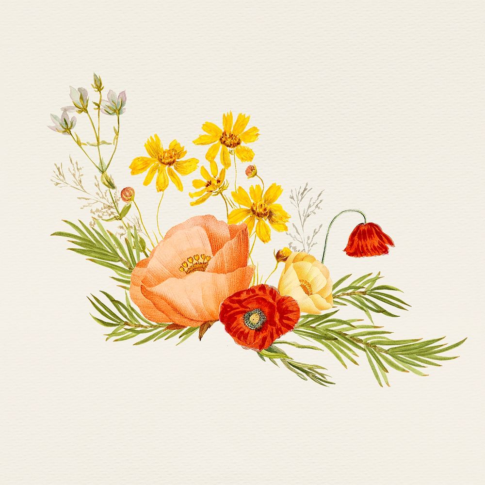 Summer flower hand drawn psd illustration, remixed from public domain artworks