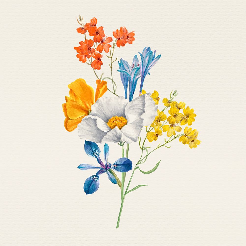 Vintage spring flower psd illustration, remixed from public domain artworks
