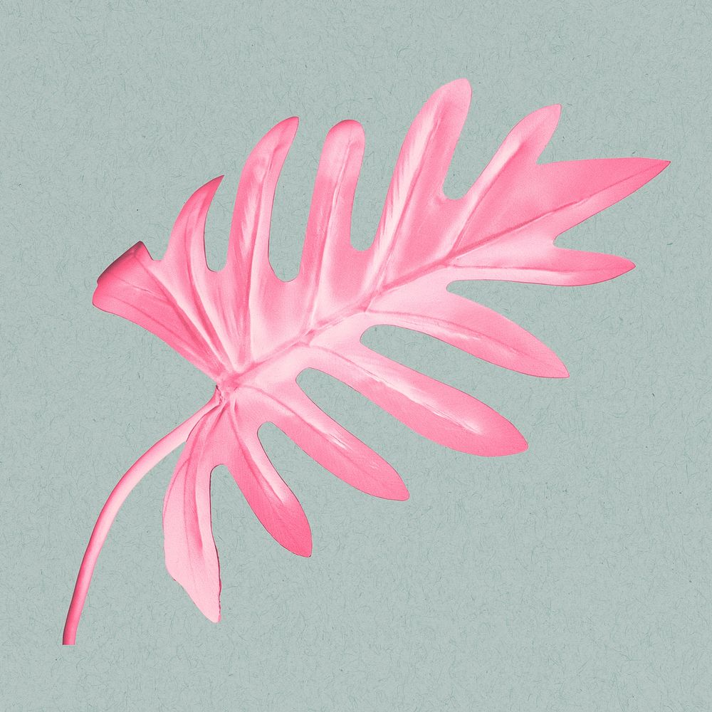 Pink xanadu leaf psd illustration
