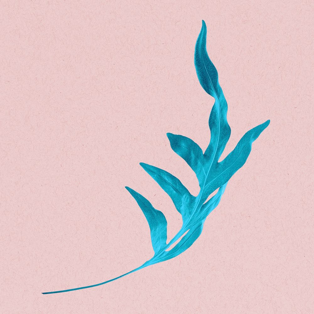 Blue arrowhead fern leaf psd illustration