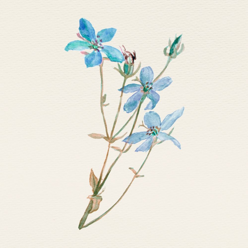 Vintage blue flower psd illustration, remixed from public domain artworks