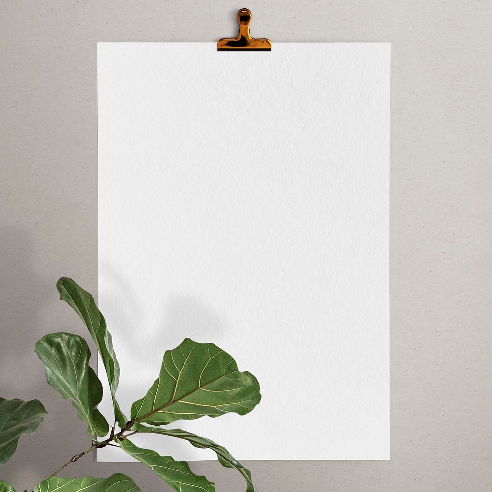 Blank paper document stationery
