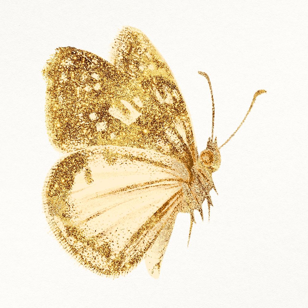 Butterfly gold design element psd, remixed from vintage public domain images