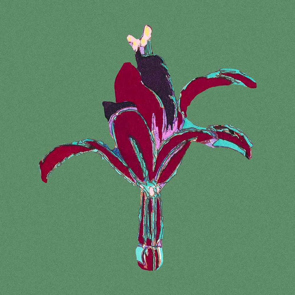 Fuchsia flower clipart, vintage botanical illustration psd