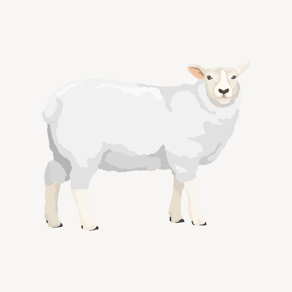 Sheep wool, animal illustration clipart psd