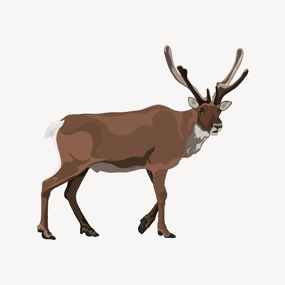 Elk illustration clipart, realistic wild animal vector