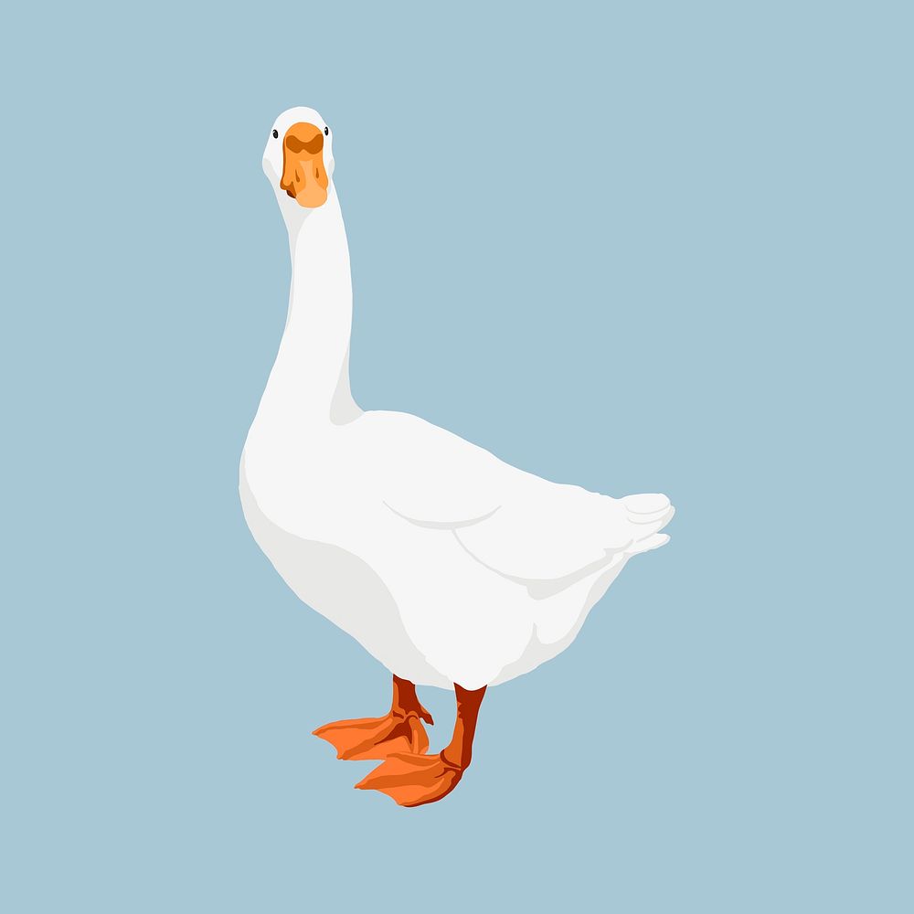 White goose, bird illustration, realistic | Premium PSD Illustration ...