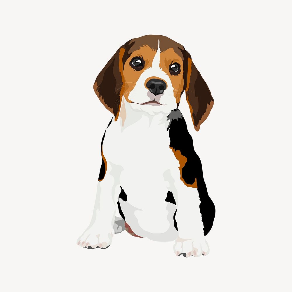 Beagle puppy illustration psd