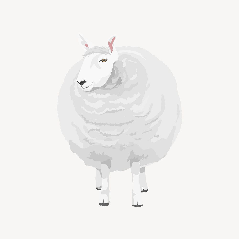 Sheep wool, animal illustration clipart psd