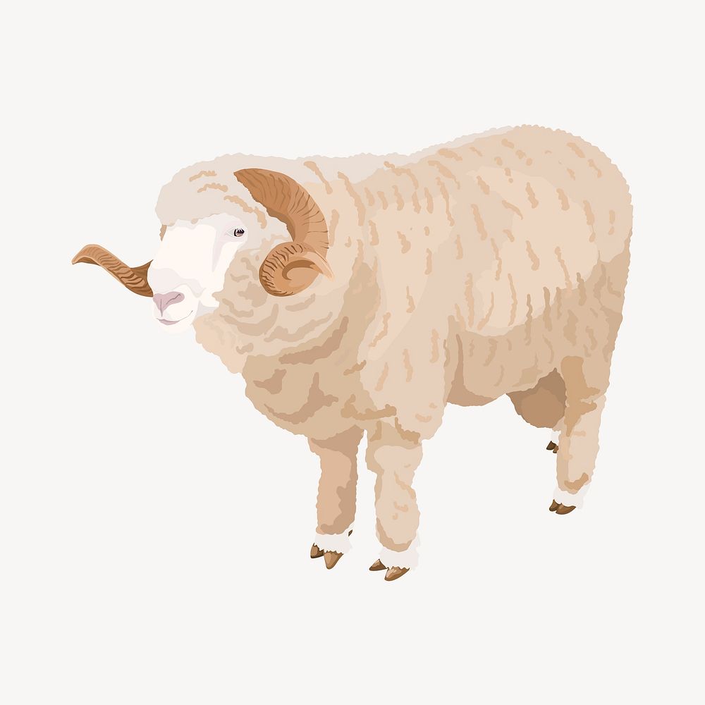 Ram animal illustration, bighorn sheep clipart vector