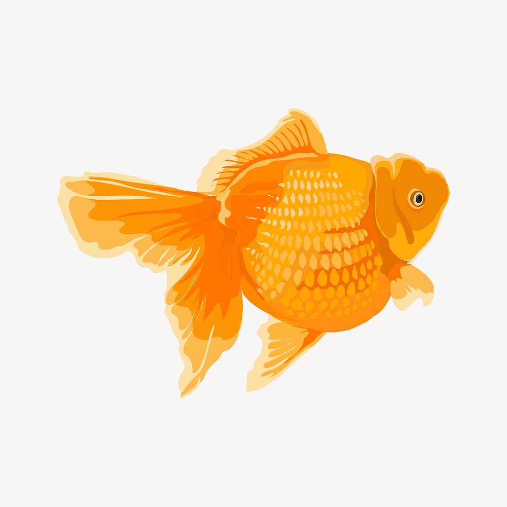 Goldfish pet illustration clipart psd