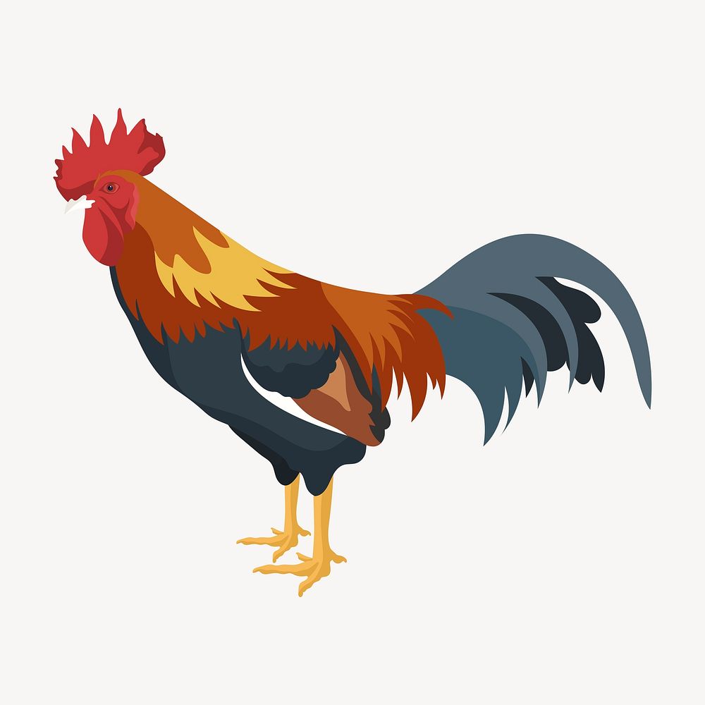 Chicken rooster, cock illustration psd