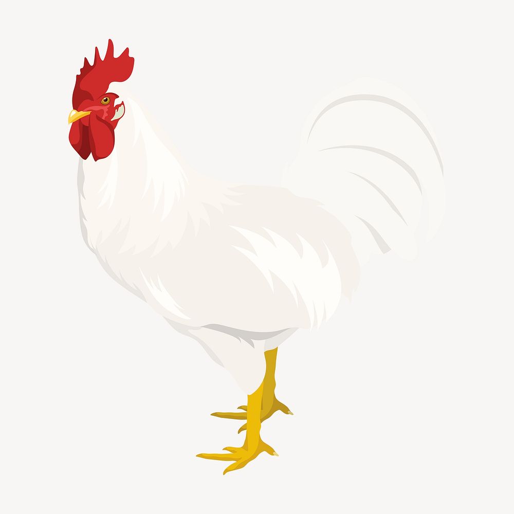 White rooster illustration, male chicken psd