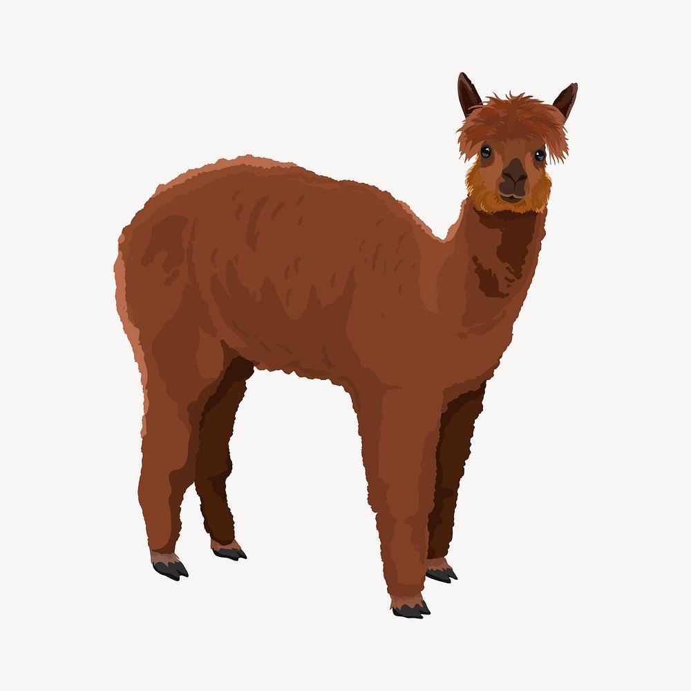 Brown alpaca illustration, realistic clipart vector