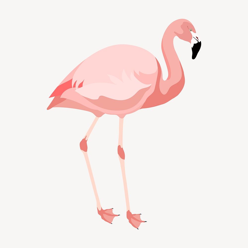 Pink flamingo illustration, animal clipart | Premium PSD Illustration ...