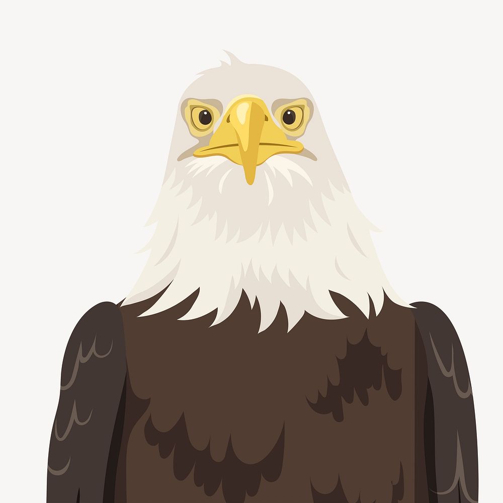 Bald eagle face illustration, bird clipart, USA symbol psd