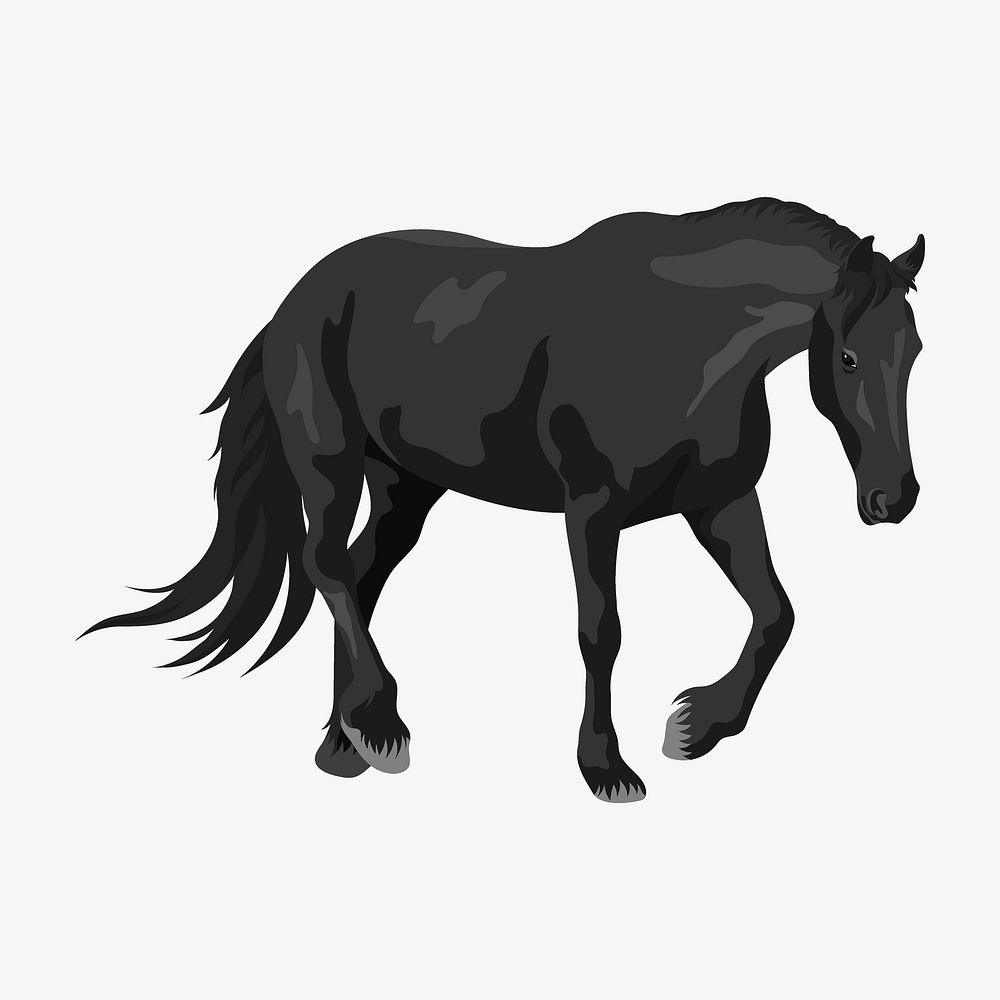 Black horse, animal illustration vector