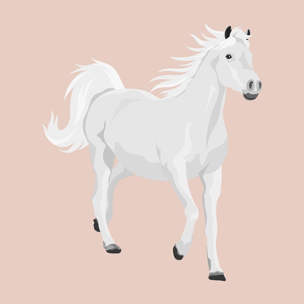White horse, realistic illustration vector